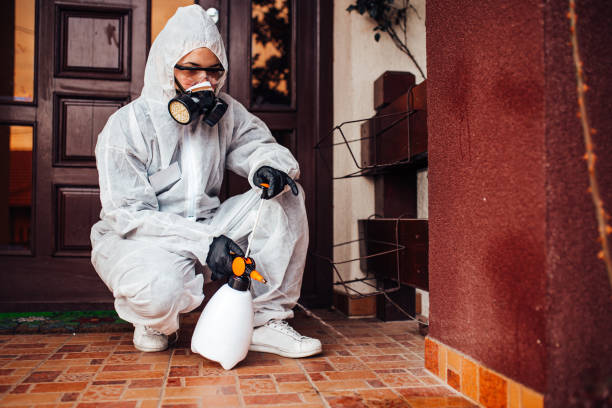 Reliable Bed Bug Control contractor in South Riding, VA by Nex Pest Control